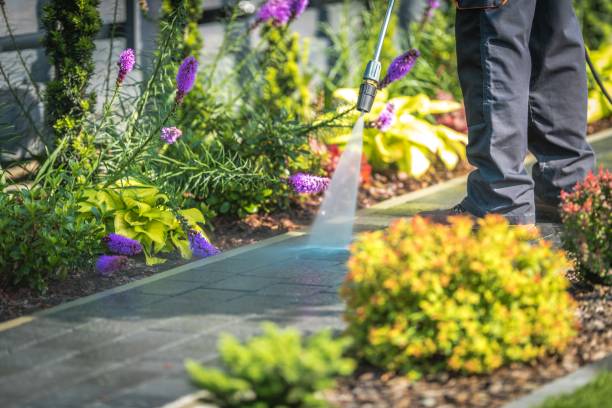 Best Parking Lot and Garage Cleaning  in Waldwick, NJ